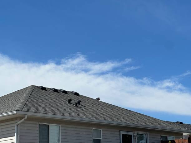 Best Chimney Flashing Repair  in Seat Pleasant, MD